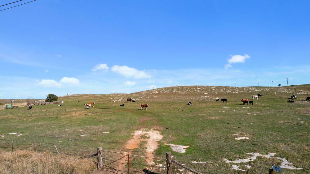 359 Boundary Rd, Tantanoola, SA 5280