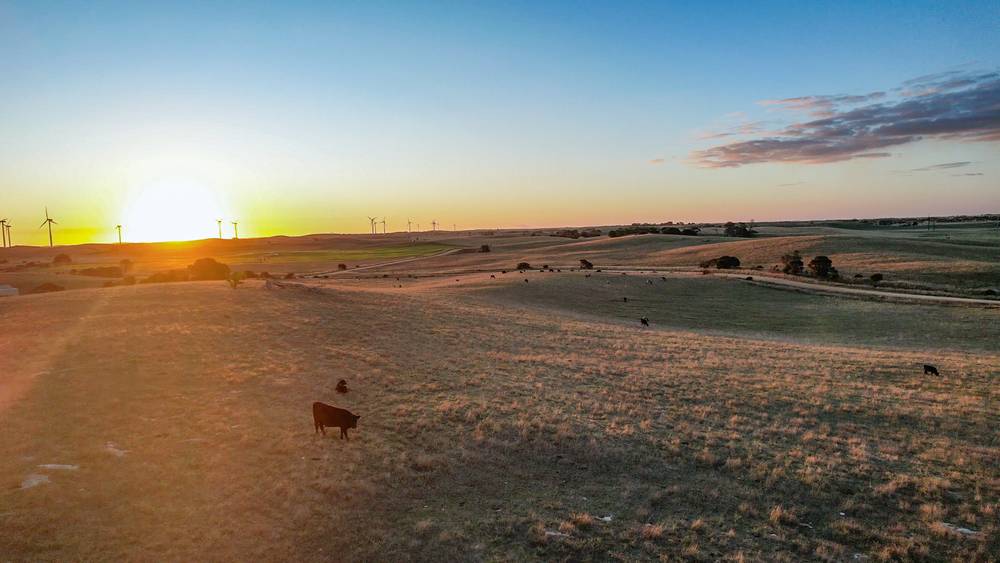 359 Boundary Rd, Tantanoola, SA 5280