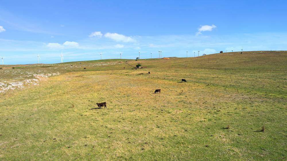 359 Boundary Rd, Tantanoola, SA 5280