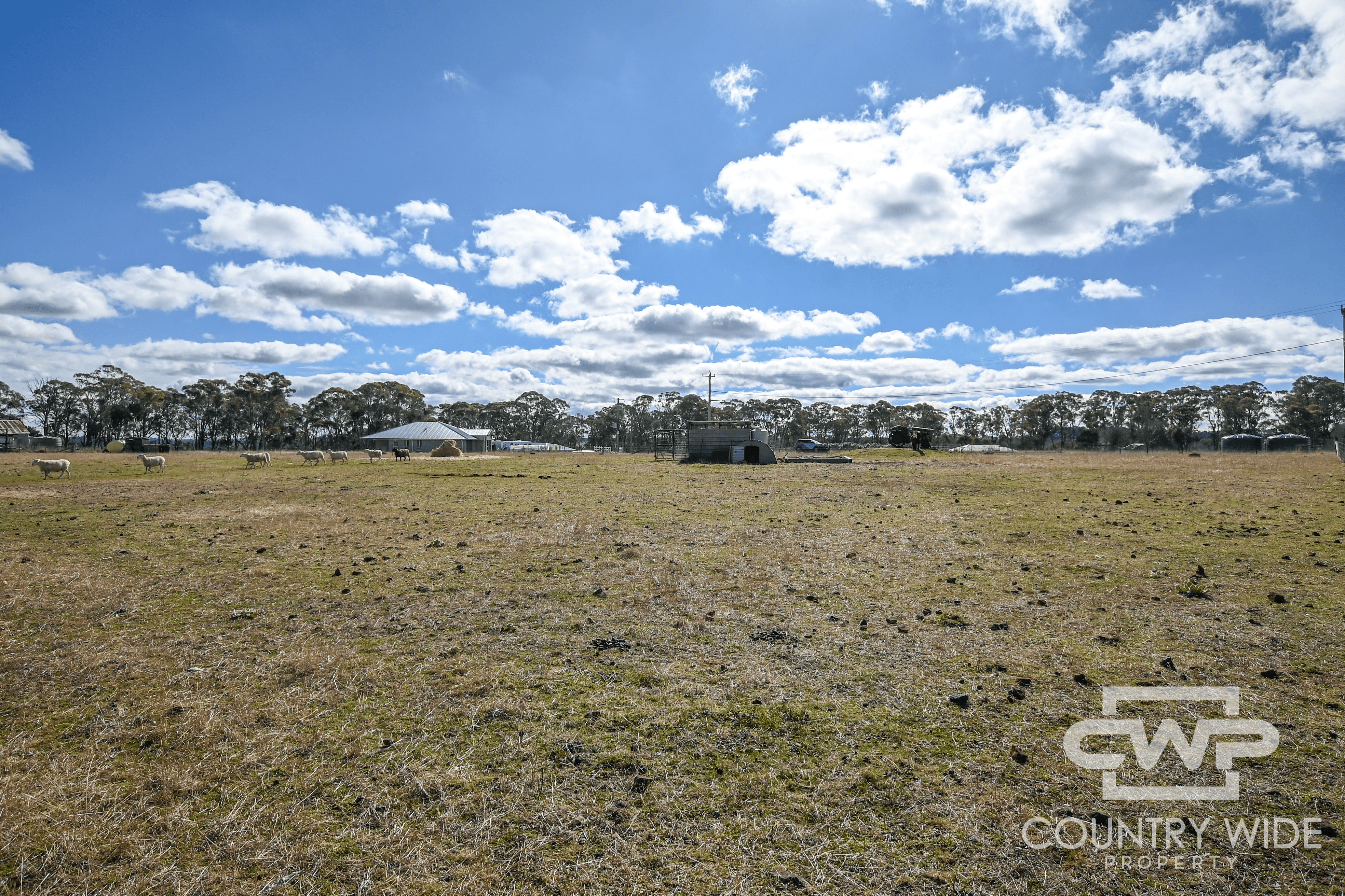 5 Martin Drive, BLACK MOUNTAIN, NSW 2365
