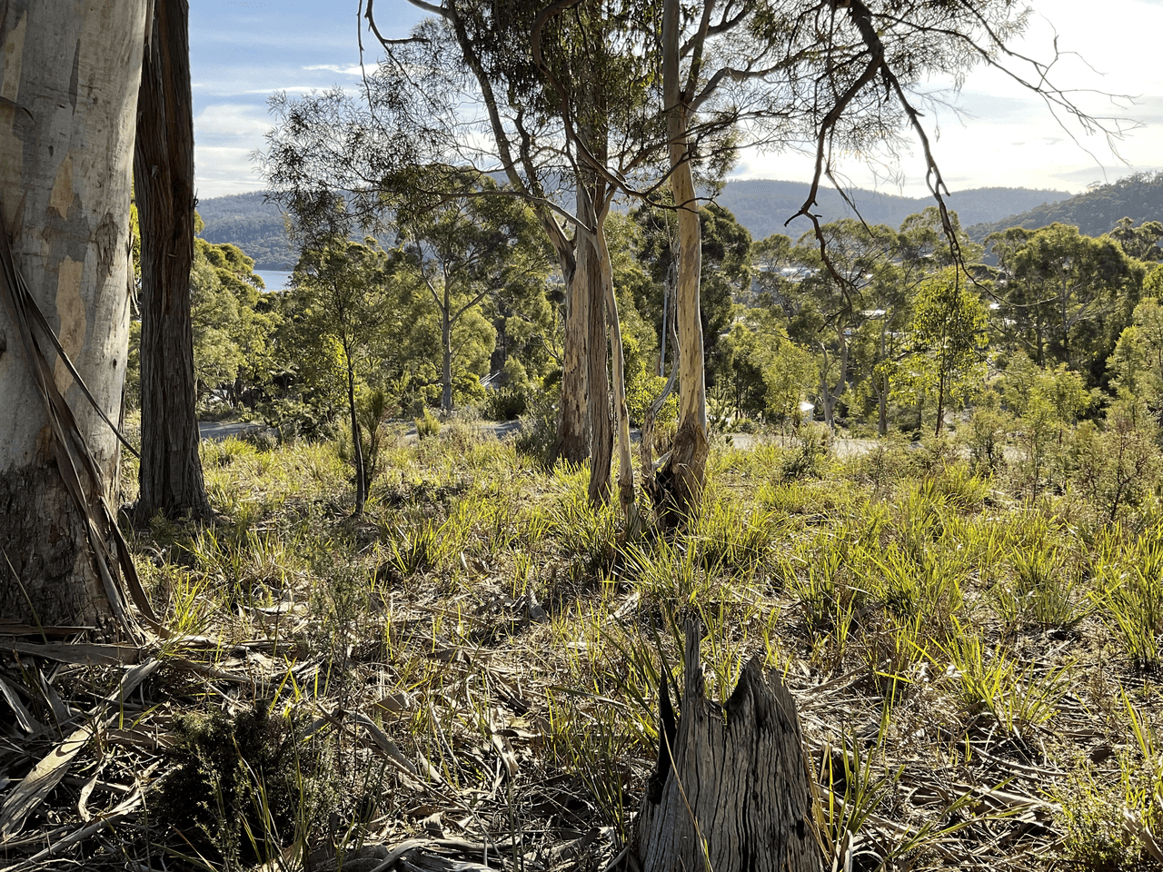 3 Mundy Court, NUBEENA, TAS 7184