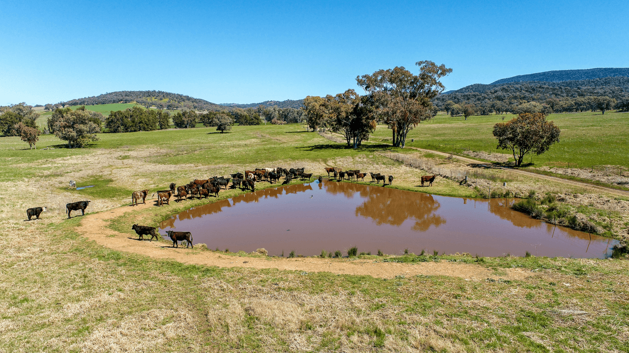 678 Blathery Creek Road Neurea via, WELLINGTON, NSW 2820