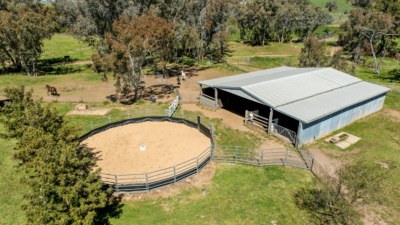 678 Blathery Creek Road Neurea via, WELLINGTON, NSW 2820