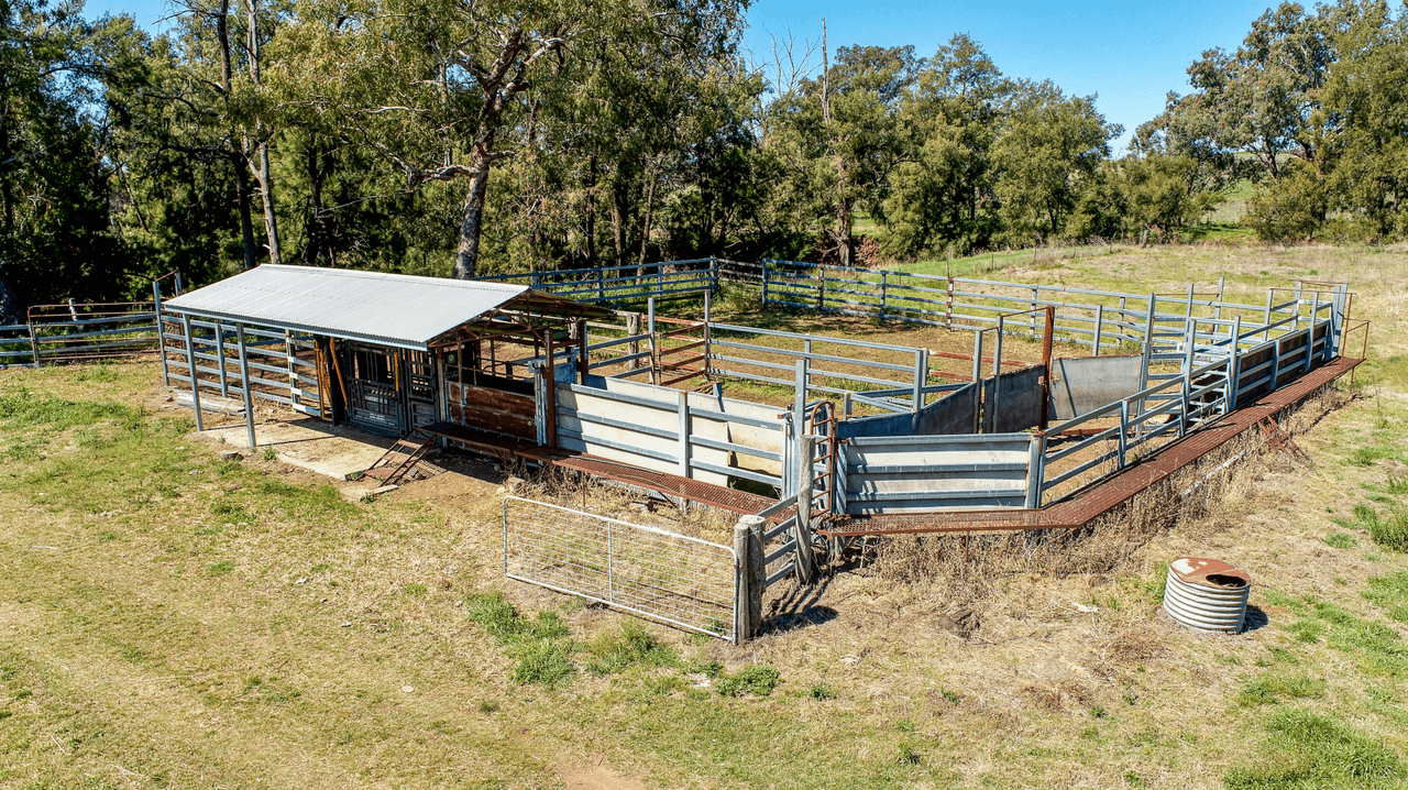 678 Blathery Creek Road Neurea via, WELLINGTON, NSW 2820