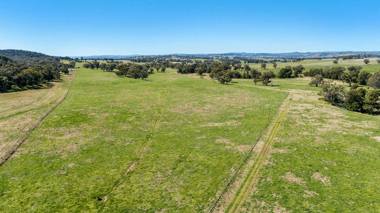 678 Blathery Creek Road Neurea via, WELLINGTON, NSW 2820