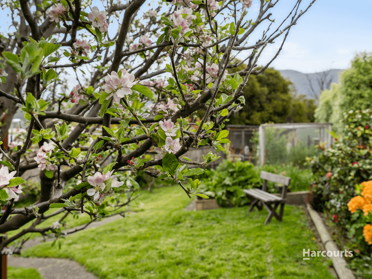 8 Cohen Court, CLAREMONT, TAS 7011