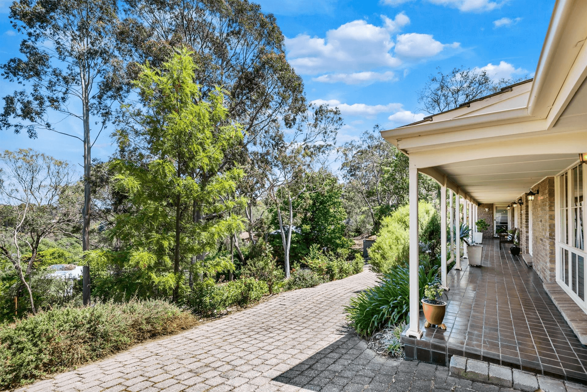 228 Coromandel Parade, Coromandel Valley, SA 5051