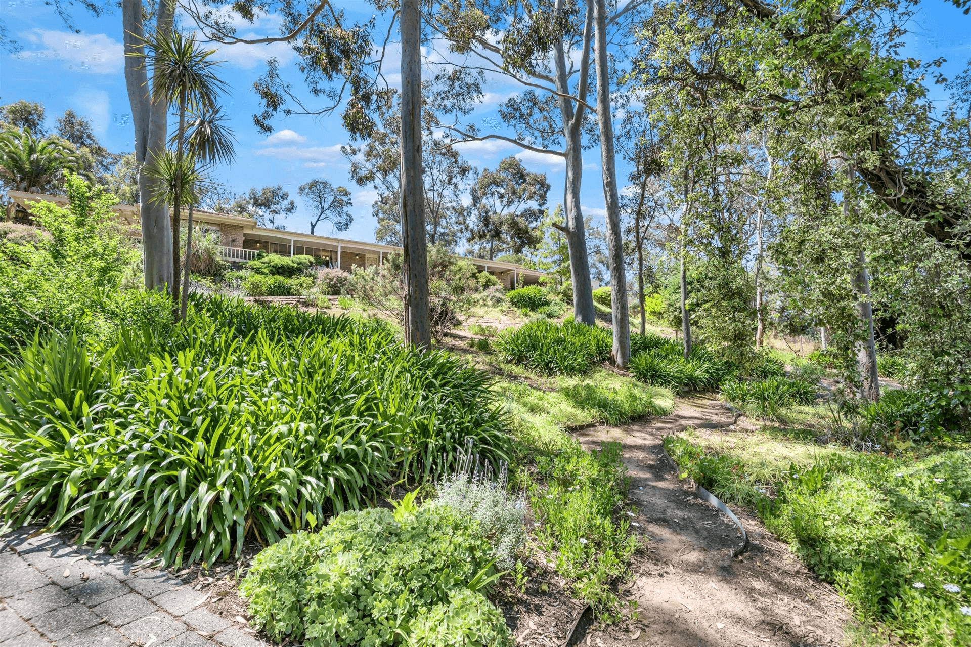 228 Coromandel Parade, Coromandel Valley, SA 5051