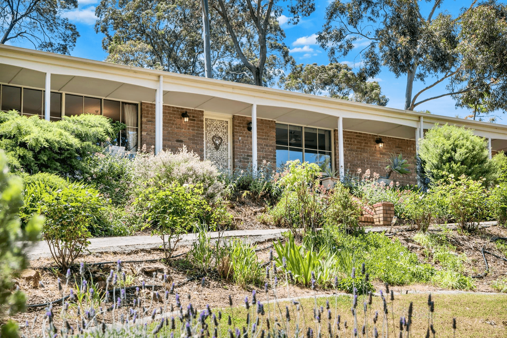 228 Coromandel Parade, Coromandel Valley, SA 5051