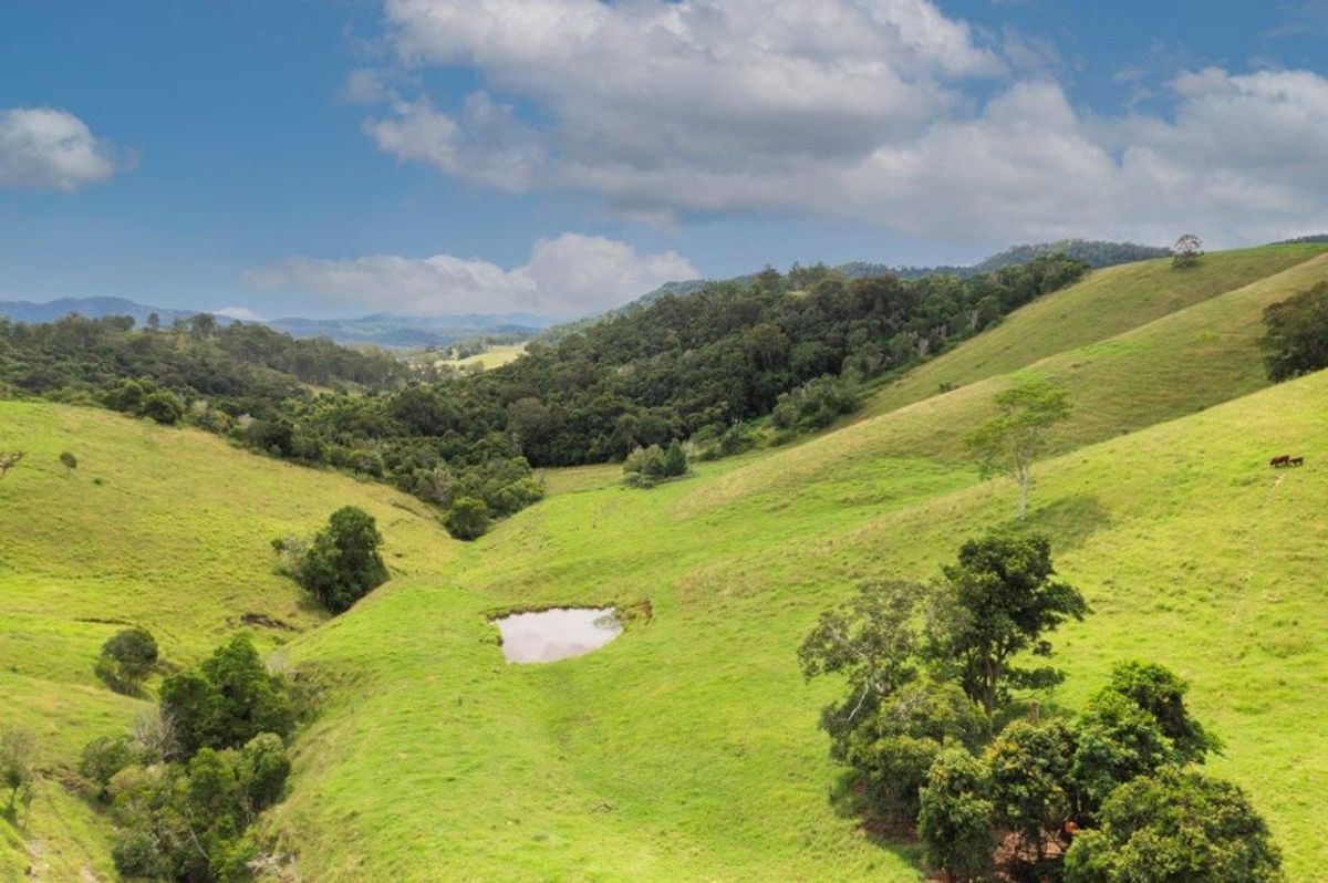 1609 Toms Creek Road, Toms Creek, NSW 2446