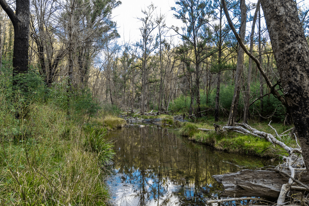 4924 Armidale Road, NYMBOIDA, NSW 2460