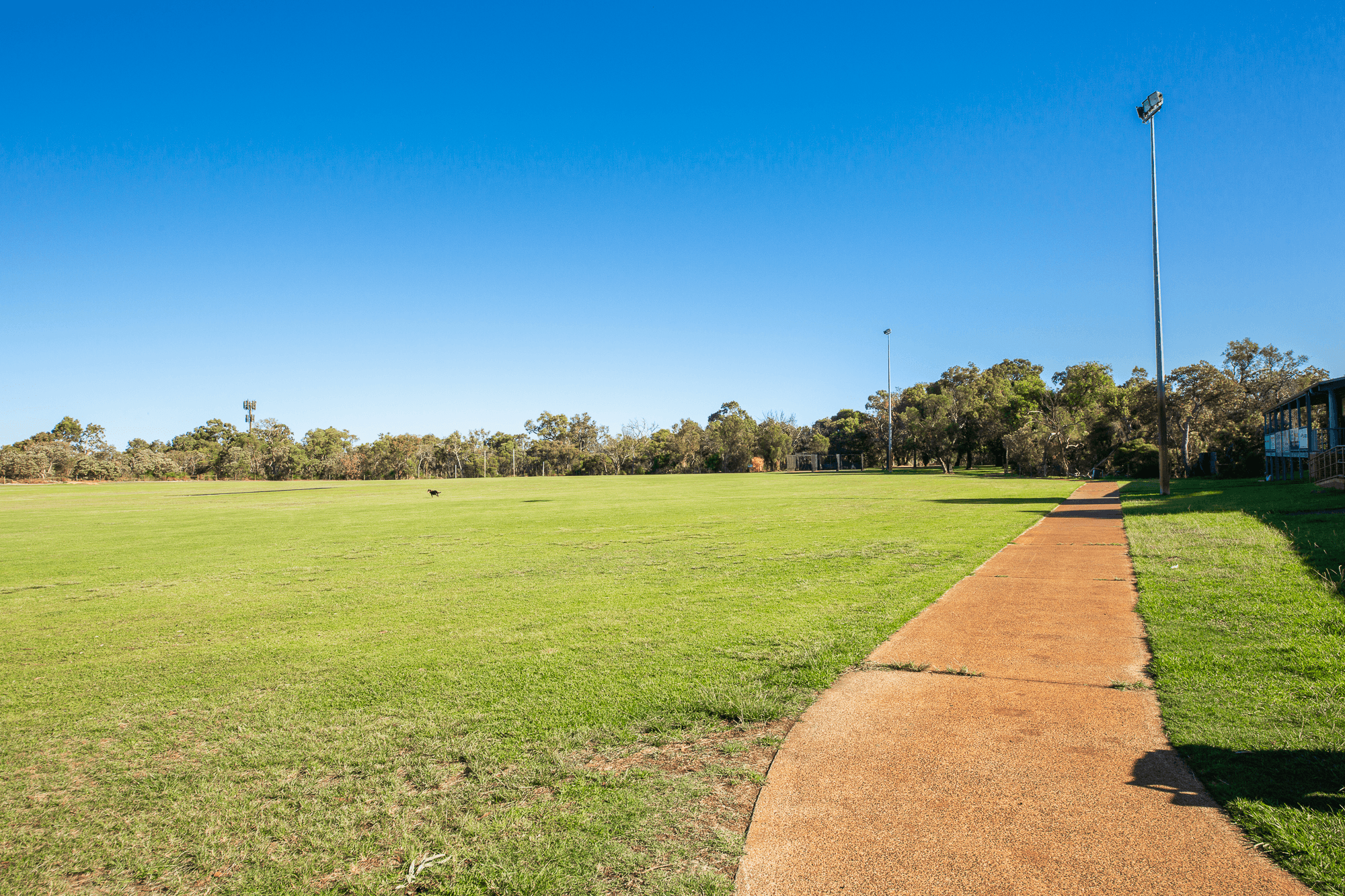 46 Edison Street, DIANELLA, WA 6059