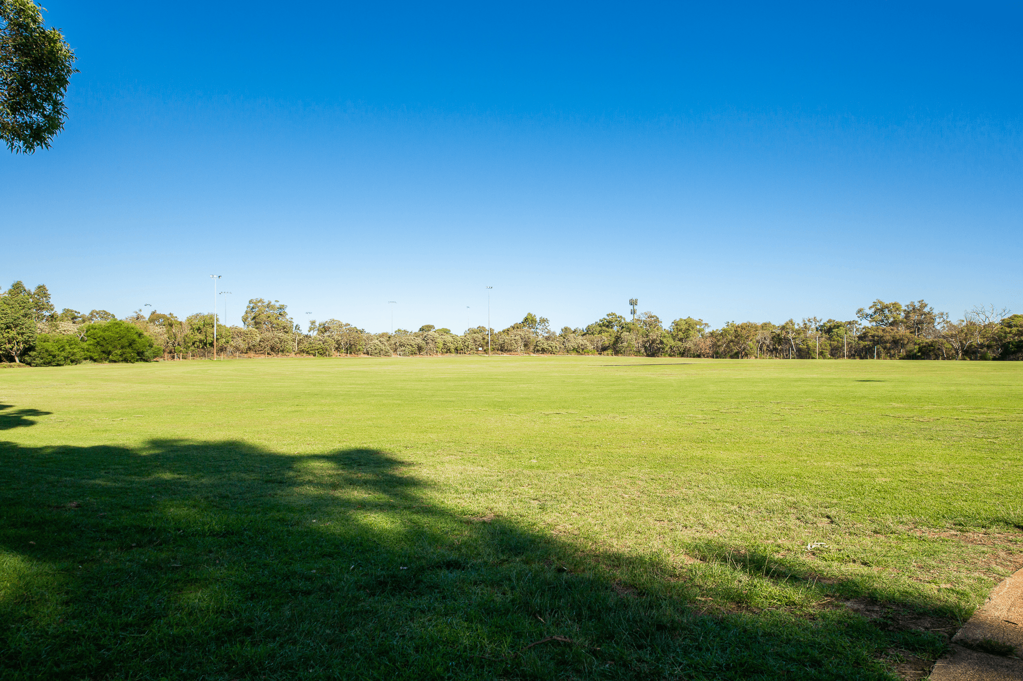 46 Edison Street, DIANELLA, WA 6059