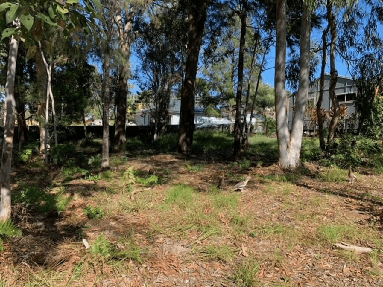 30 Morwong Street, Macleay Island, QLD 4184
