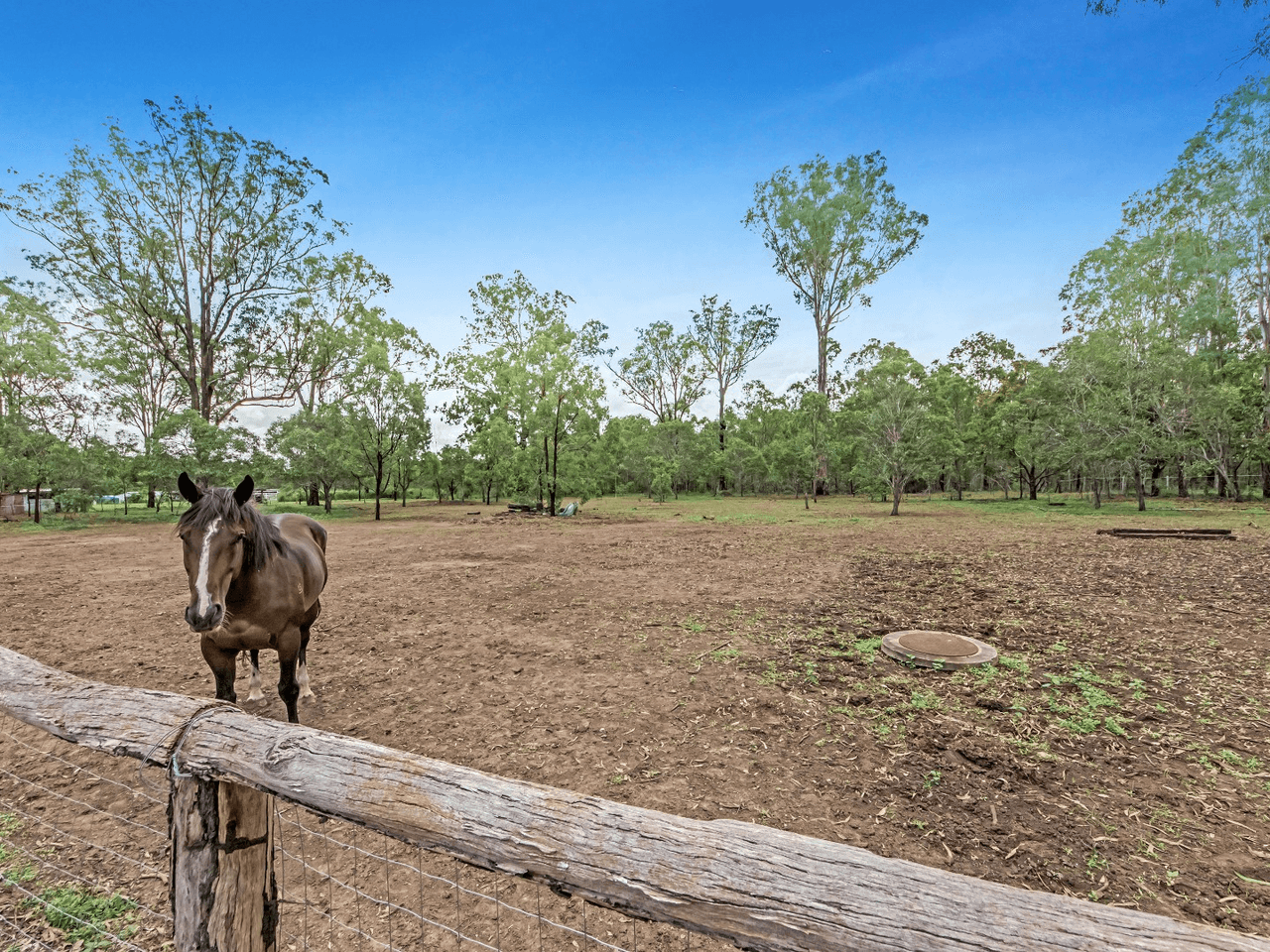 16 Beethams Road, IRONBARK, QLD 4306