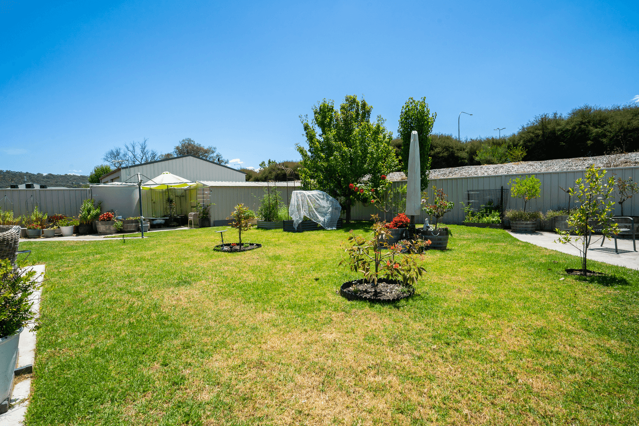 169 Rivergum Drive, EAST ALBURY, NSW 2640