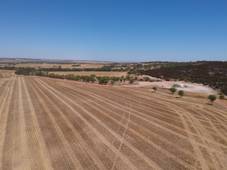 " Muggawa", Arrino, WA 6519