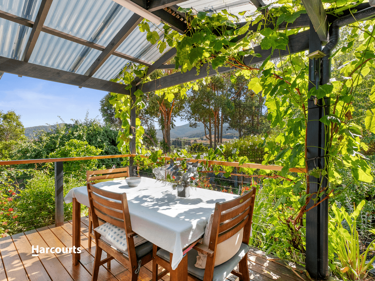 15 Golden Valley Road, CYGNET, TAS 7112