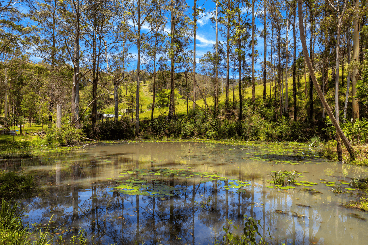 672 Candoormakh Creek Road, NABIAC, NSW 2312