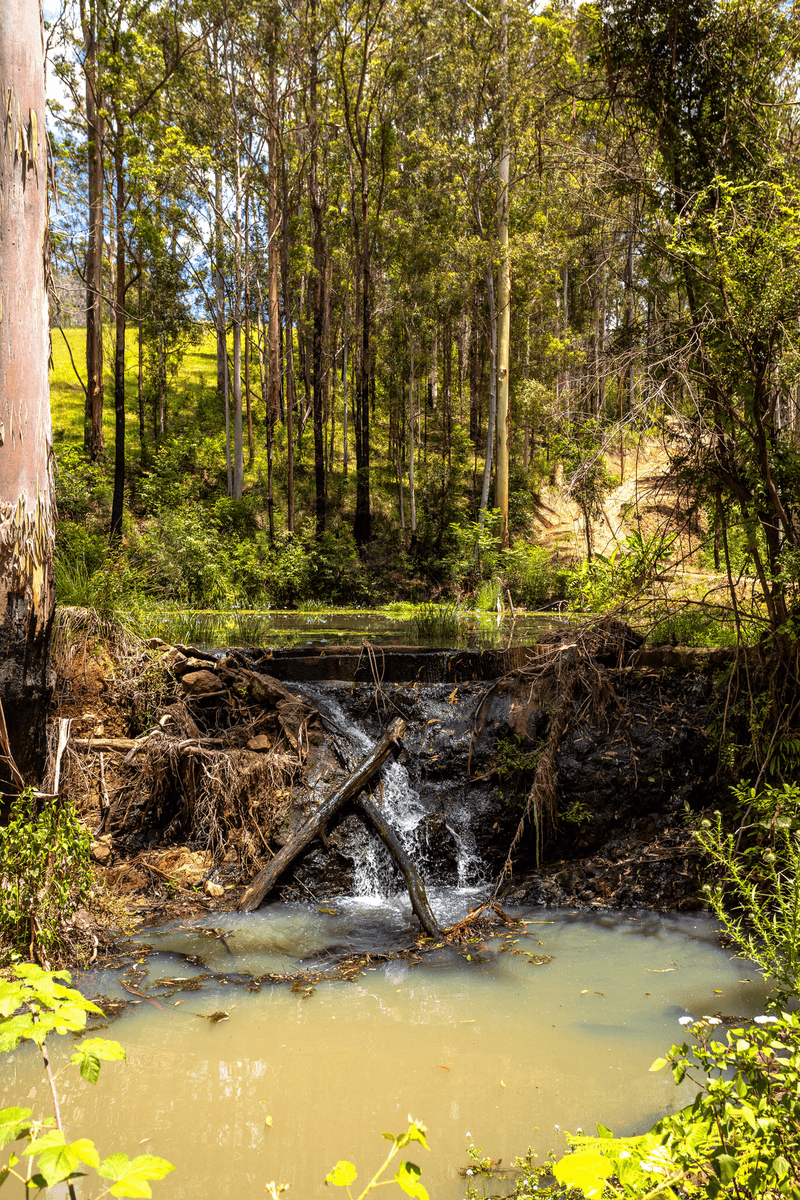 672 Candoormakh Creek Road, NABIAC, NSW 2312