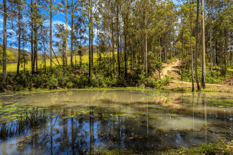 672 Candoormakh Creek Road, NABIAC, NSW 2312