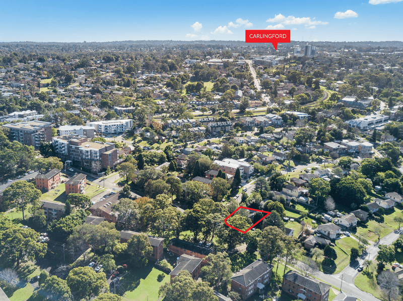 2. Fig Tree Avenue, Telopea, NSW 2117