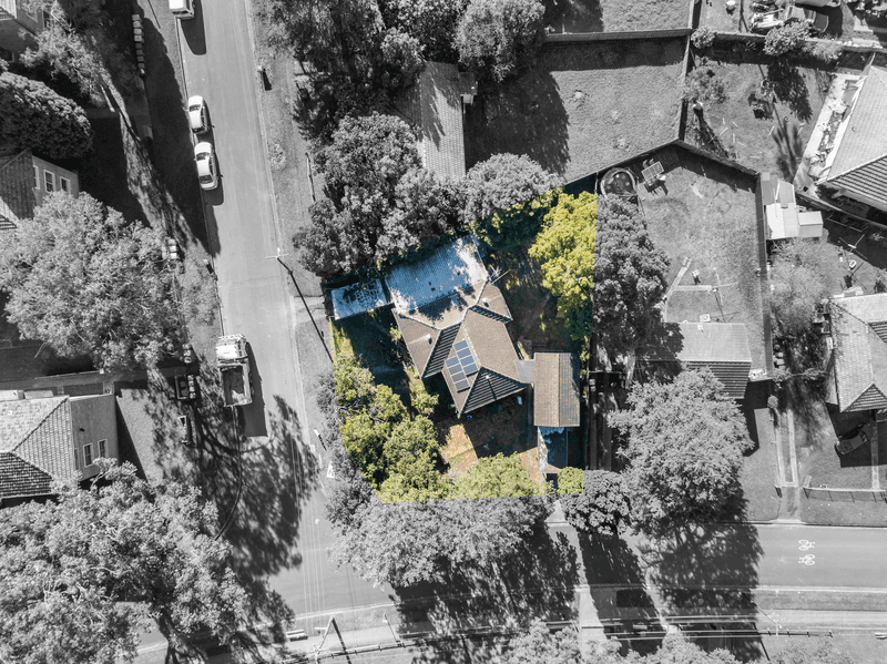 2. Fig Tree Avenue, Telopea, NSW 2117