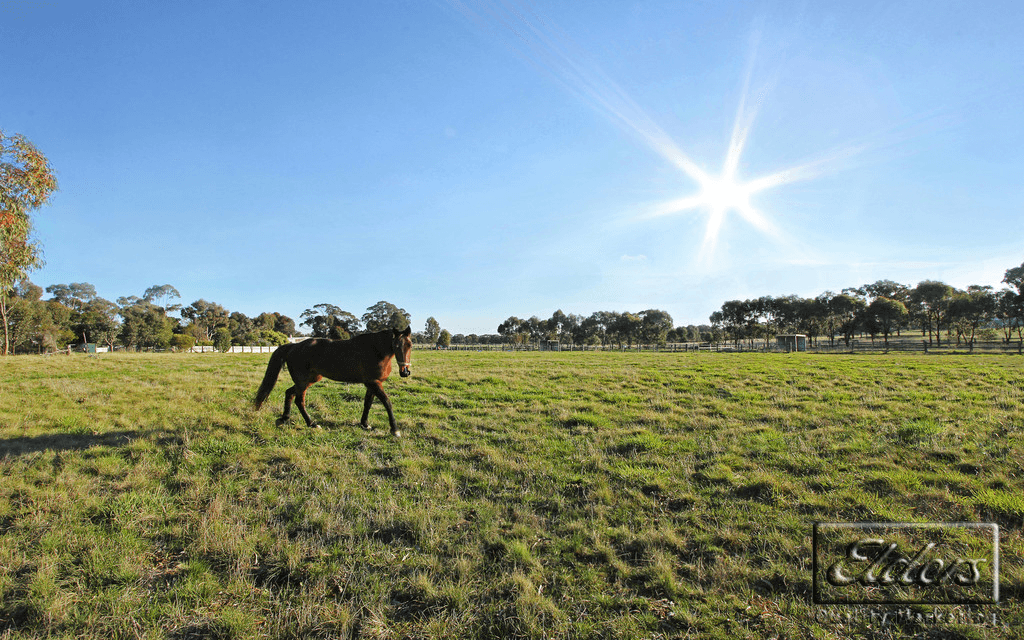 130  McKinnons Road, LOCKWOOD, VIC 3551