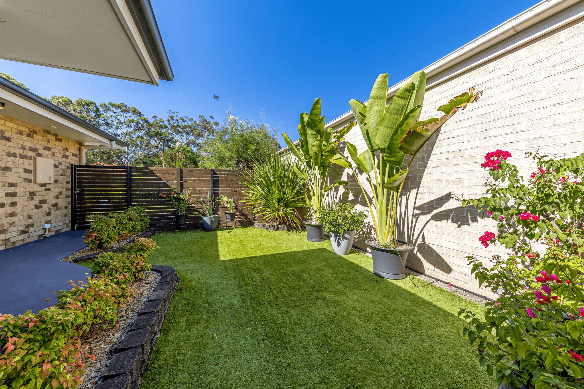 10 Redbud Court, Mountain Creek, QLD 4557