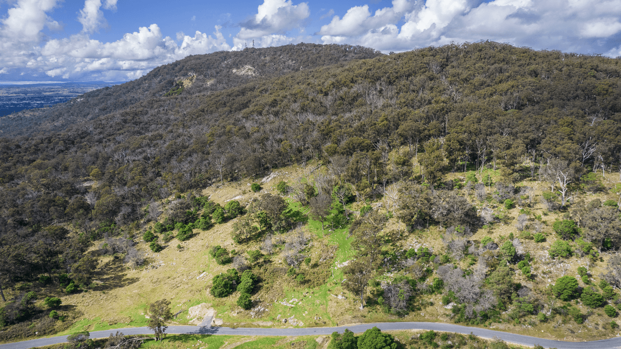 41 Gum Flat Road, TENTERFIELD, NSW 2372