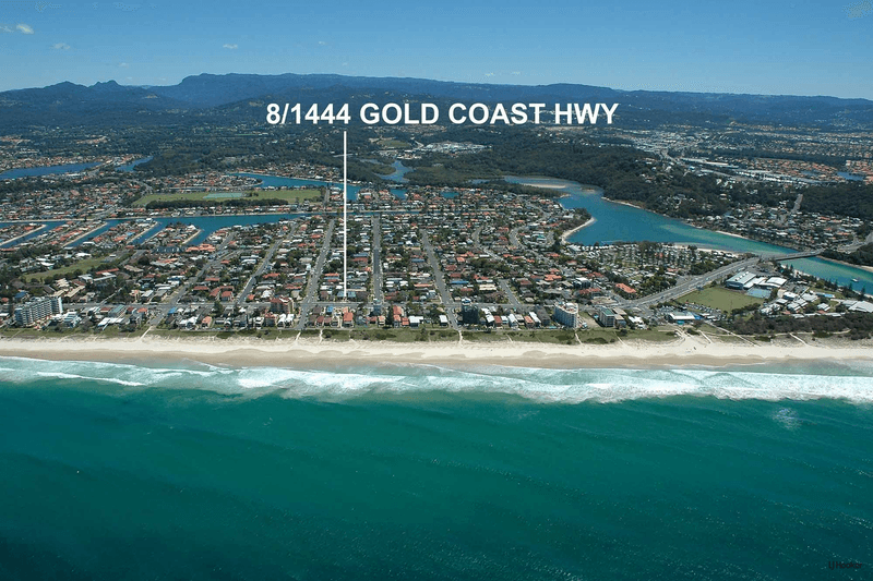 8/1444 Gold Coast Highway, PALM BEACH, QLD 4221