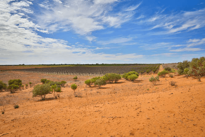 Lots 1 &amp; 2 Sculthorpe Road (south), NANGILOC, VIC 3494