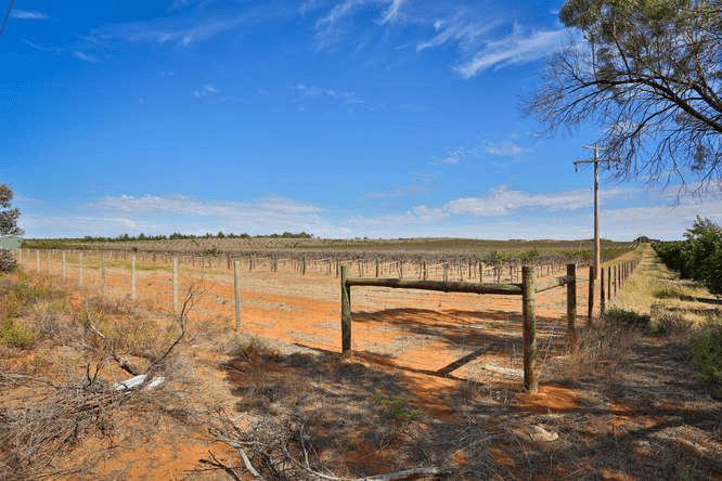 Lots 1 &amp; 2 Sculthorpe Road (south), NANGILOC, VIC 3494