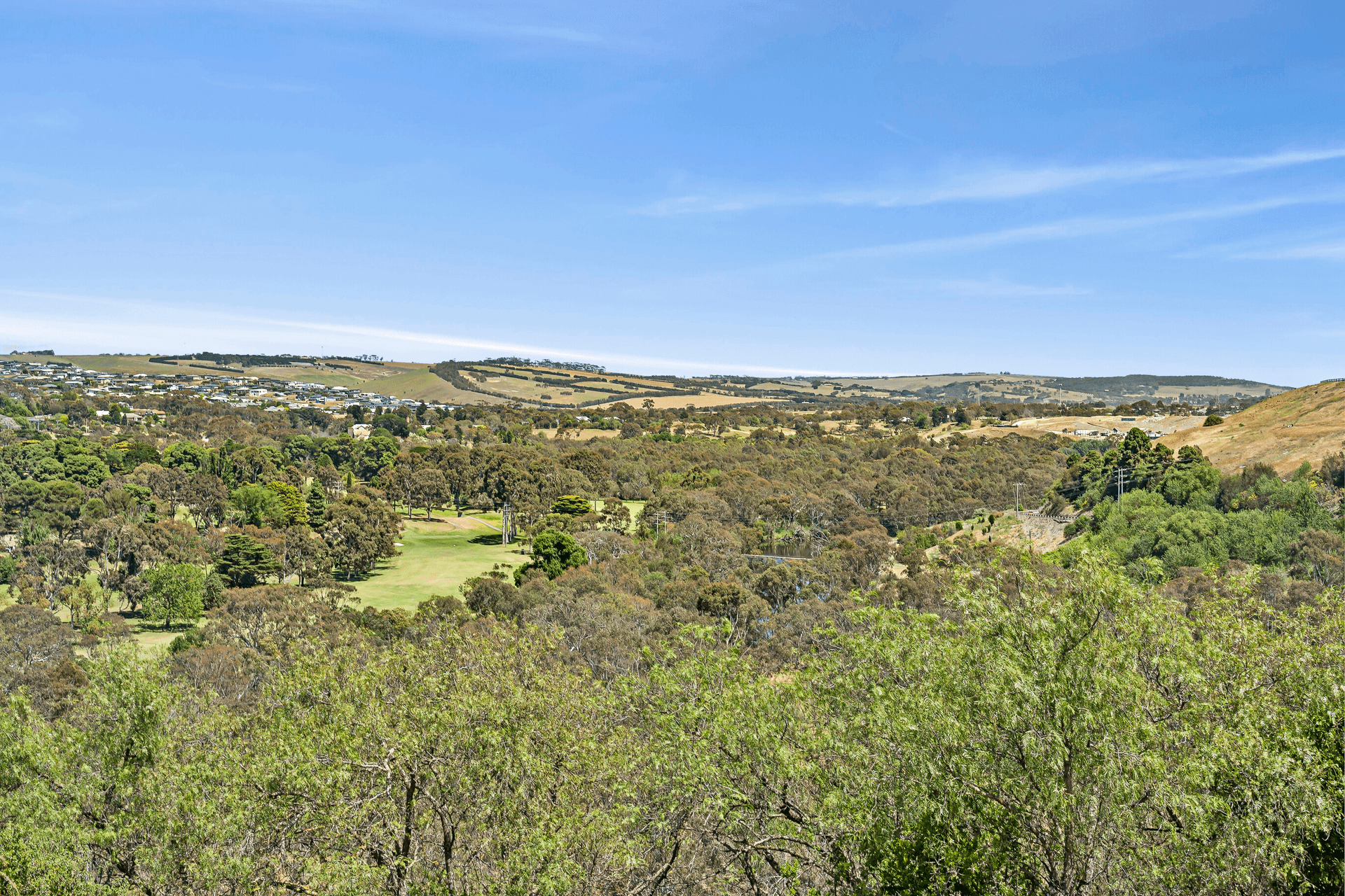 47 Read Street, Newtown, VIC 3220