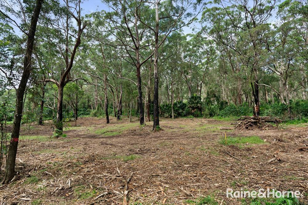 Lot 1 Selbys Road, BUDGONG, NSW 2577