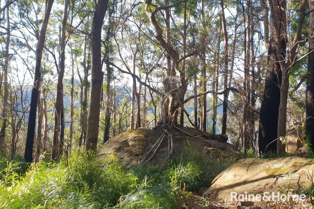 Lot 1 Selbys Road, BUDGONG, NSW 2577