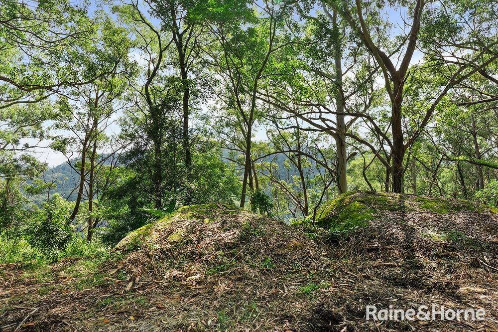 Lot 1 Selbys Road, BUDGONG, NSW 2577