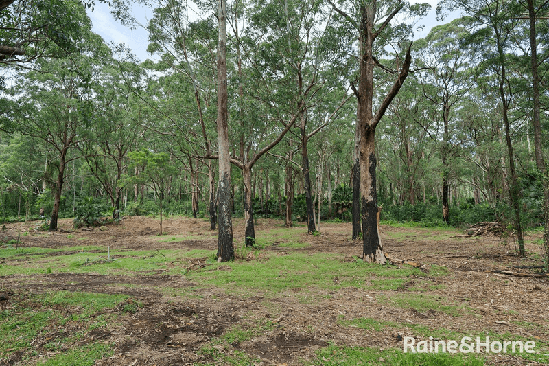 Lot 1 Selbys Road, BUDGONG, NSW 2577