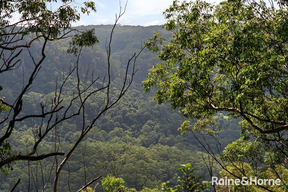 Lot 1 Selbys Road, BUDGONG, NSW 2577