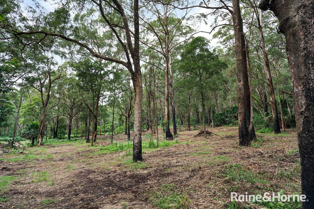 Lot 1 Selbys Road, BUDGONG, NSW 2577