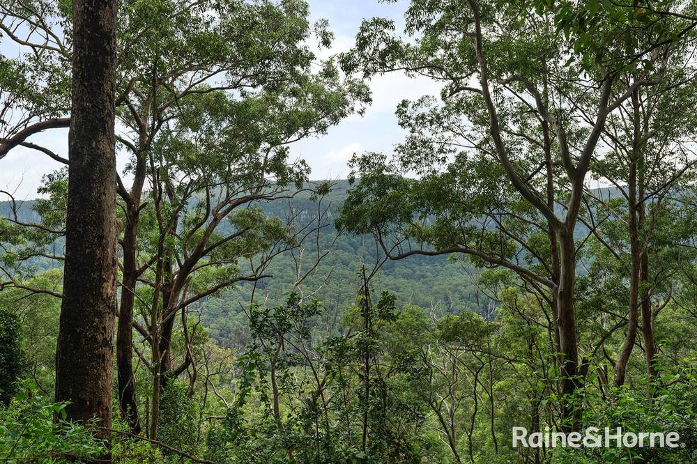 Lot 1 Selbys Road, BUDGONG, NSW 2577