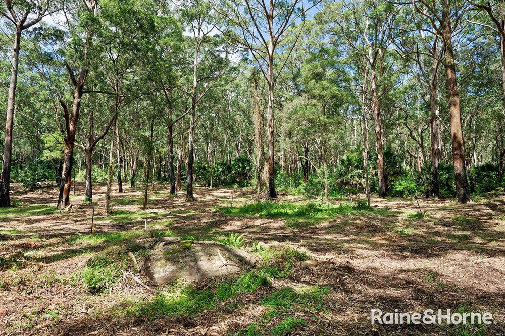 Lot 1 Selbys Road, BUDGONG, NSW 2577