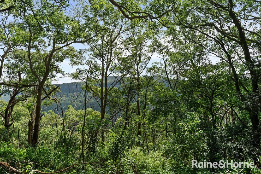 Lot 1 Selbys Road, BUDGONG, NSW 2577