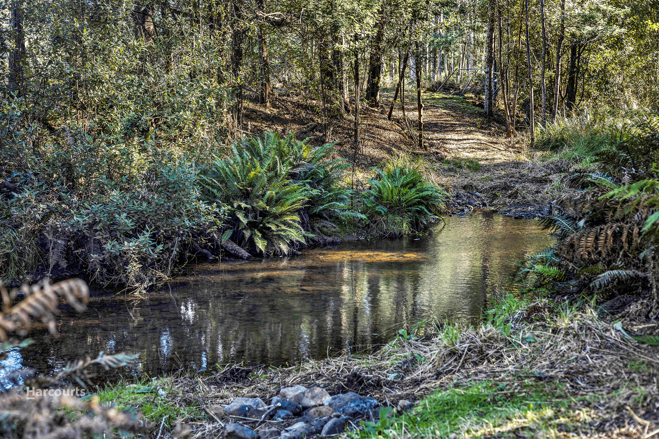 . Browns Lane, PENGUIN, TAS 7316
