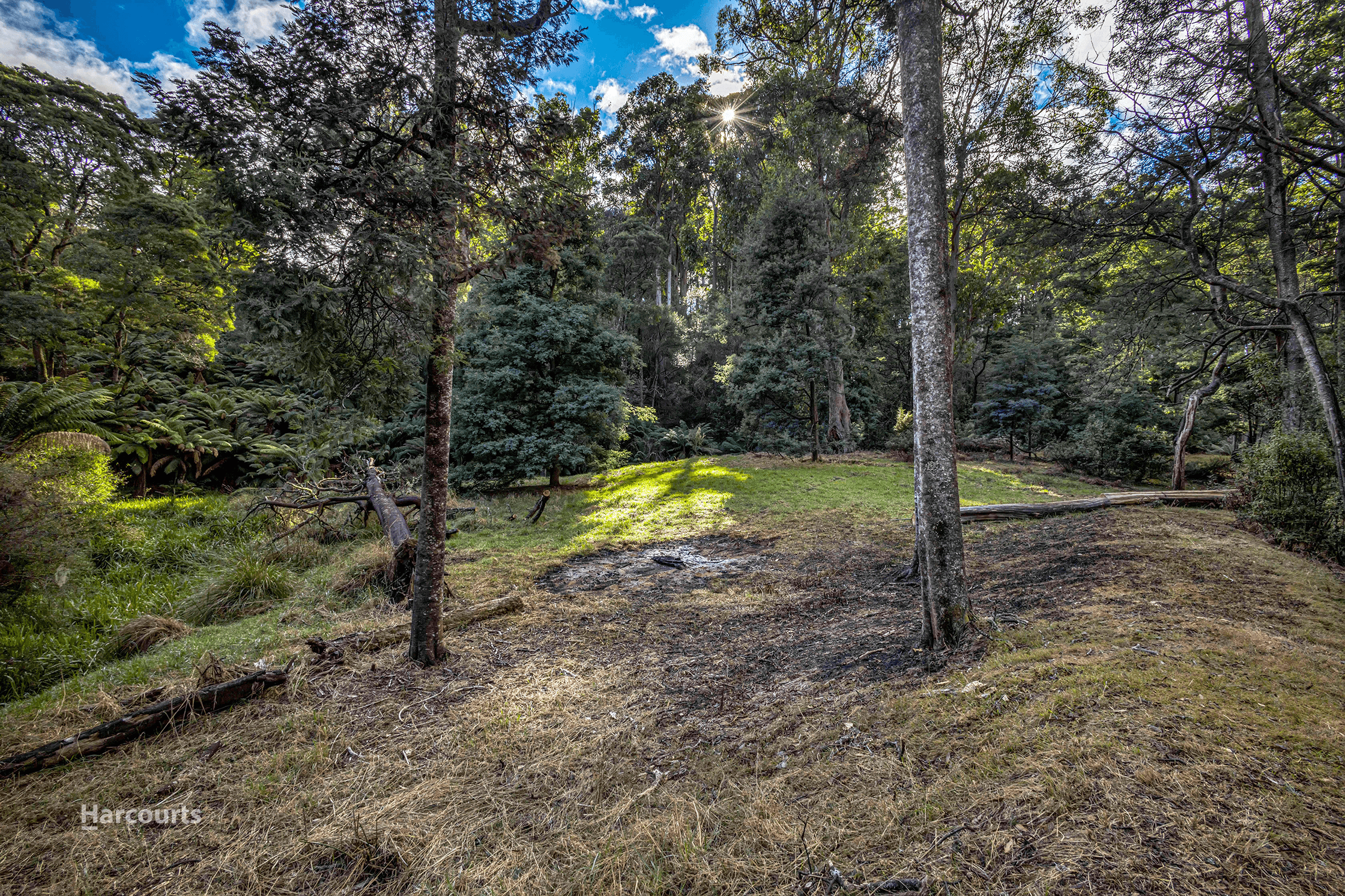 . Browns Lane, PENGUIN, TAS 7316
