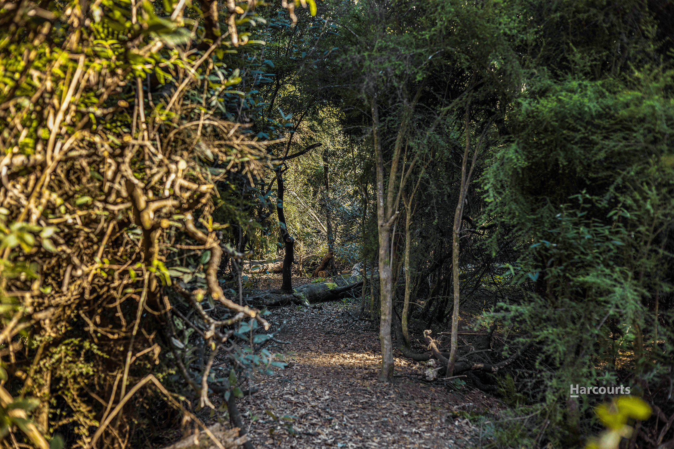 . Browns Lane, PENGUIN, TAS 7316