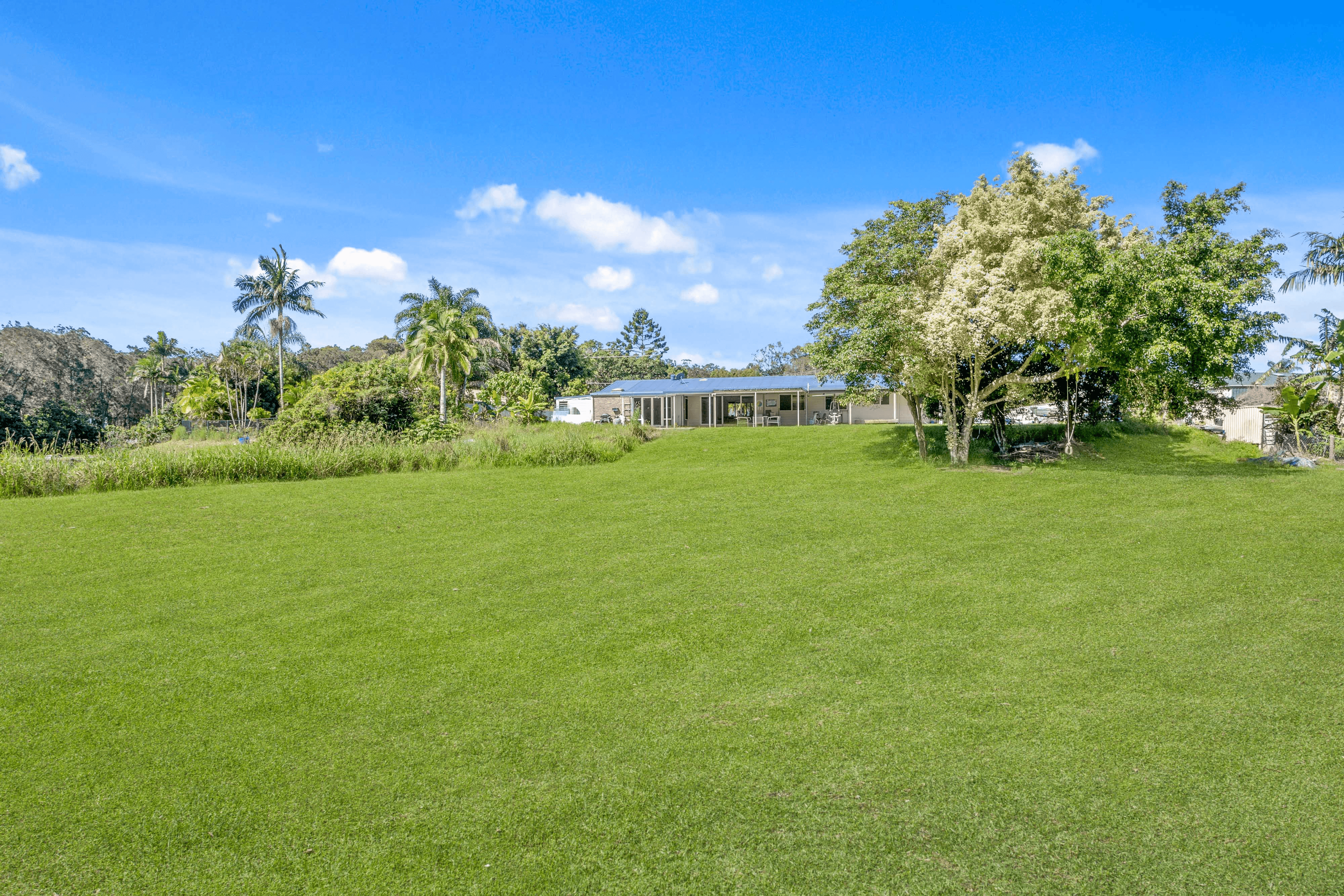 3 Larch Street, Tallebudgera, QLD 4228