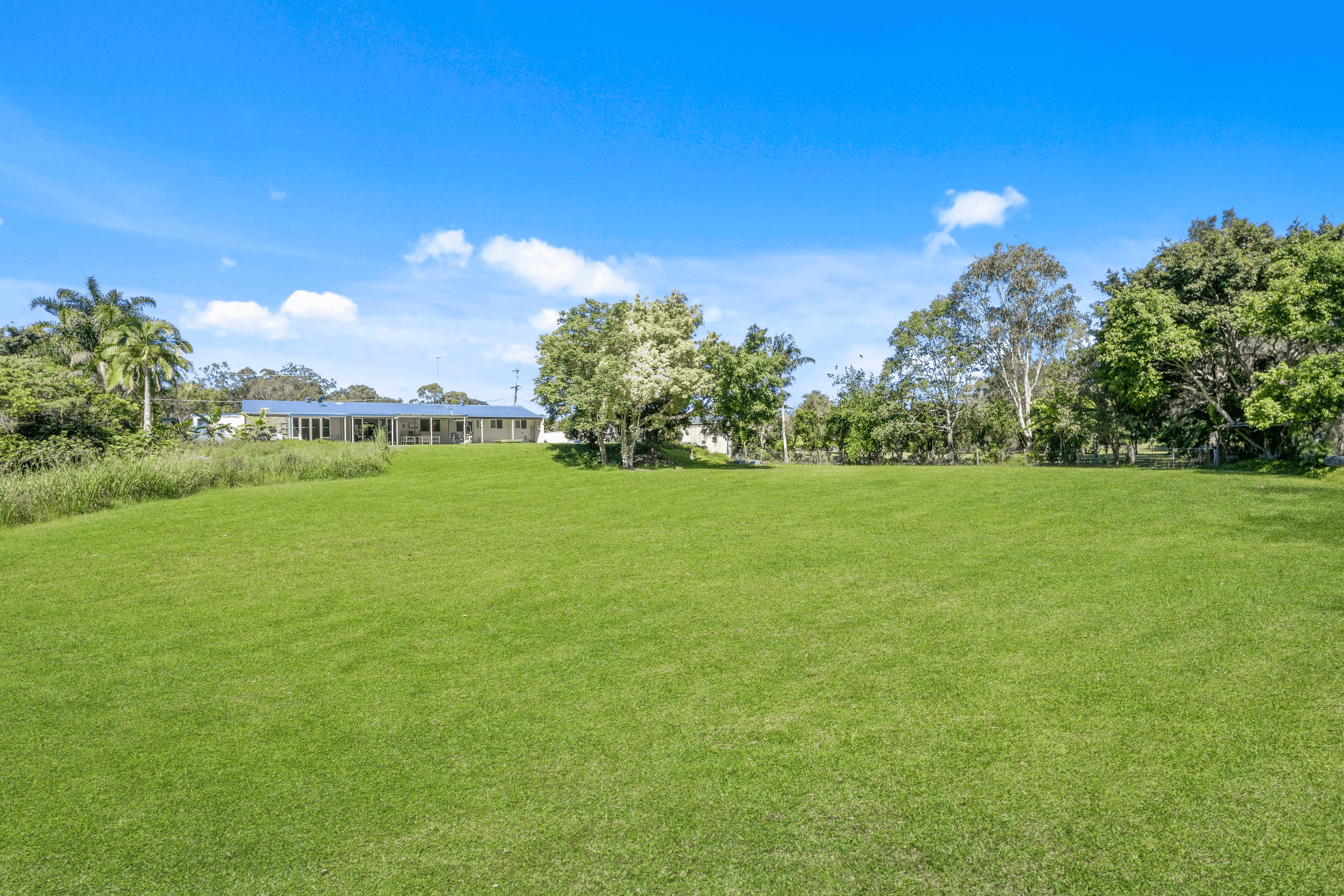 3 Larch Street, Tallebudgera, QLD 4228