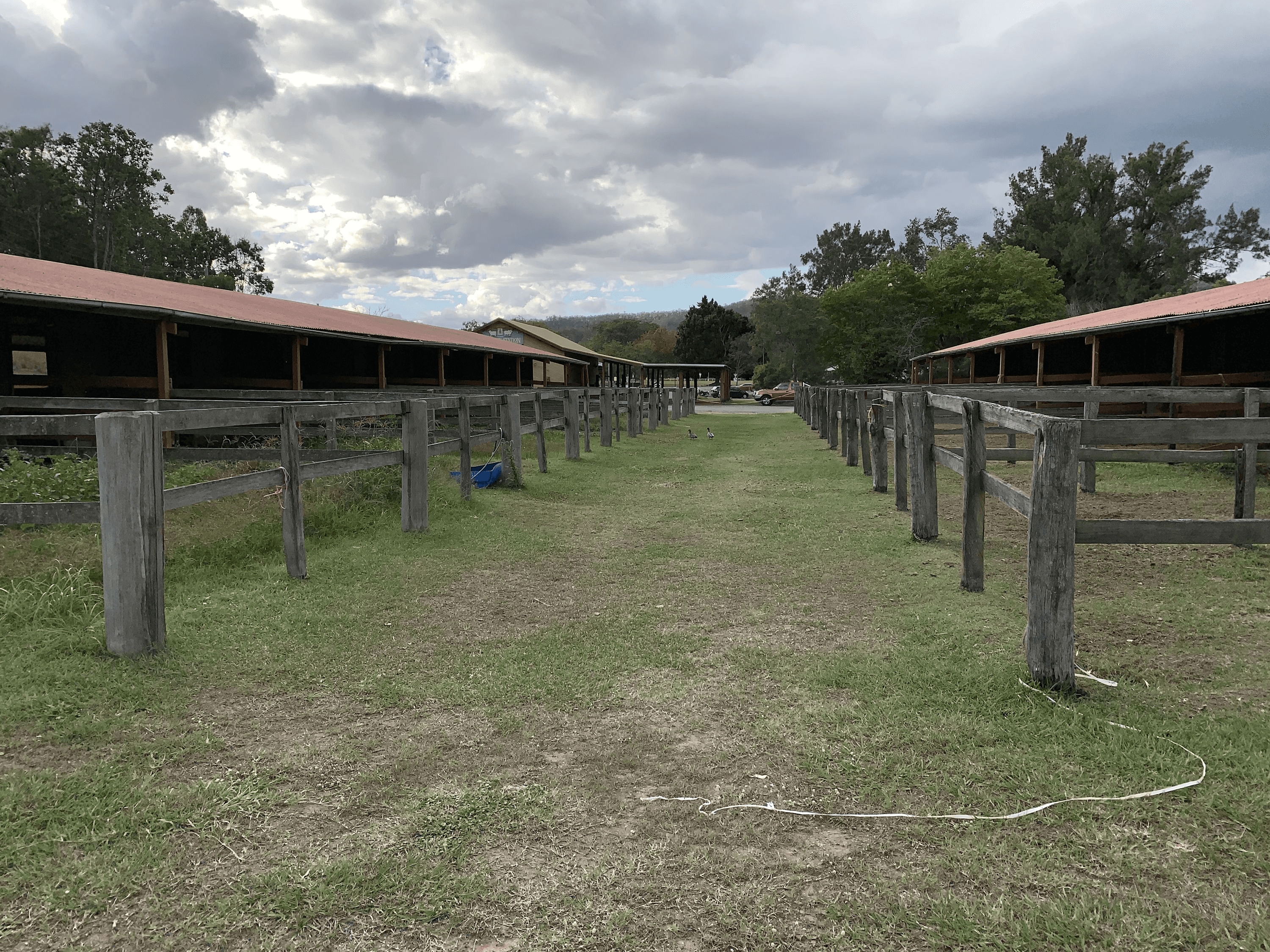 79B Ogilvie Place, KOORALBYN, QLD 4285