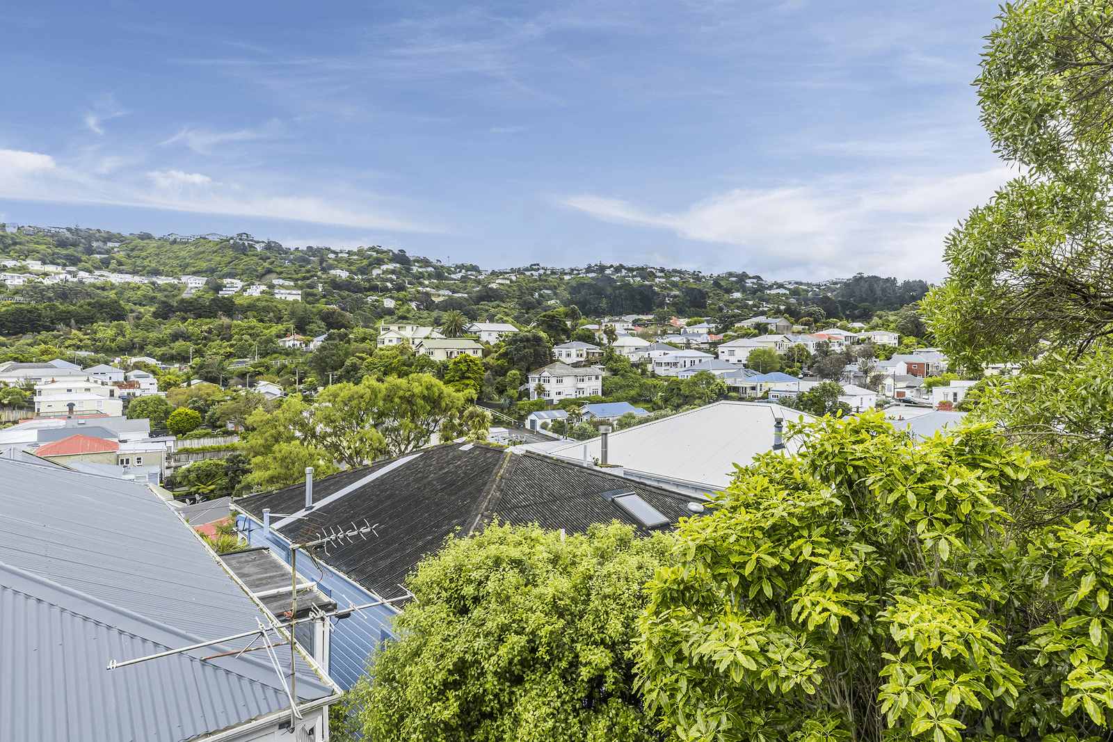 70 Lavaud Street, Berhampore, Wellington 6023